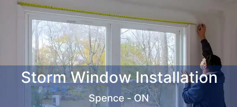  Storm Window Installation Spence - ON