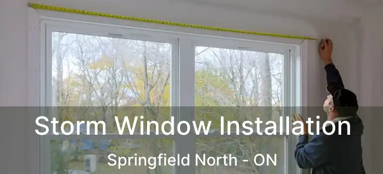  Storm Window Installation Springfield North - ON