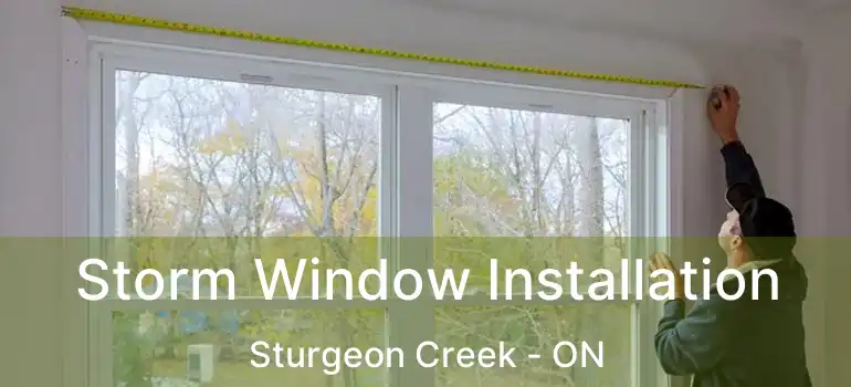  Storm Window Installation Sturgeon Creek - ON