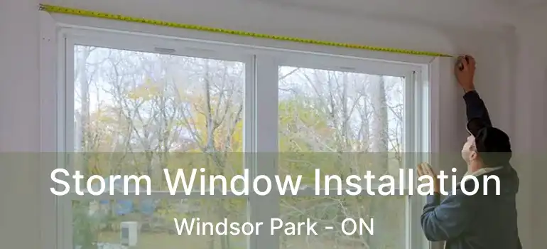  Storm Window Installation Windsor Park - ON