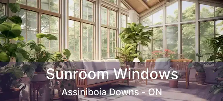  Sunroom Windows Assiniboia Downs - ON