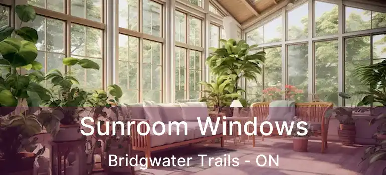  Sunroom Windows Bridgwater Trails - ON
