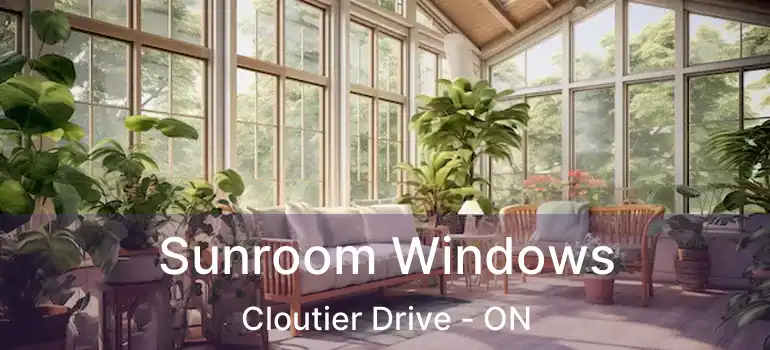  Sunroom Windows Cloutier Drive - ON