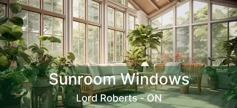  Sunroom Windows Lord Roberts - ON