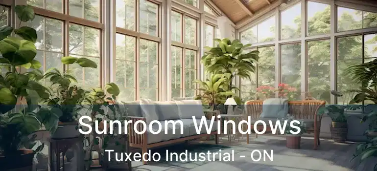  Sunroom Windows Tuxedo Industrial - ON