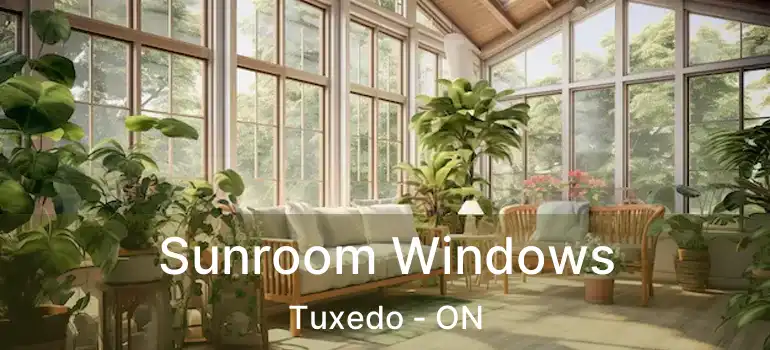  Sunroom Windows Tuxedo - ON