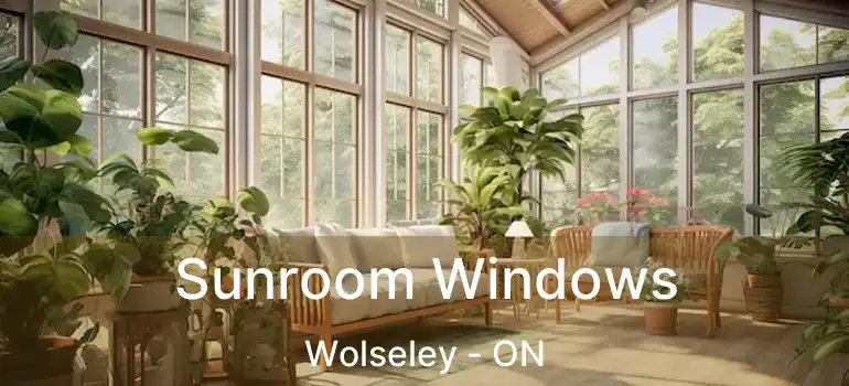  Sunroom Windows Wolseley - ON