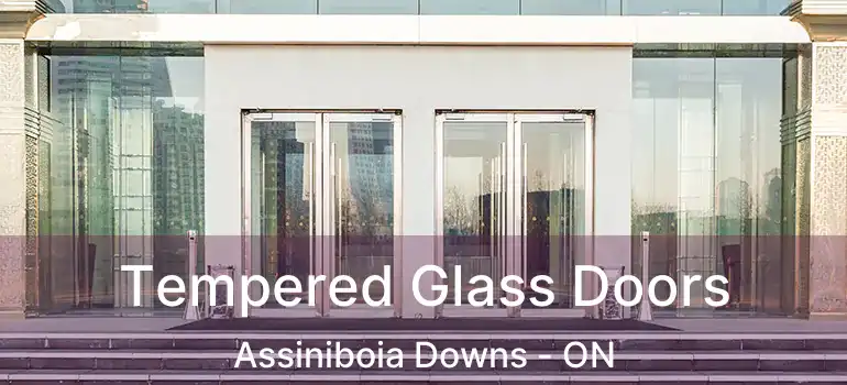  Tempered Glass Doors Assiniboia Downs - ON