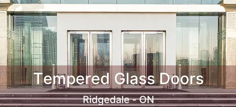  Tempered Glass Doors Ridgedale - ON