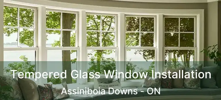  Tempered Glass Window Installation Assiniboia Downs - ON