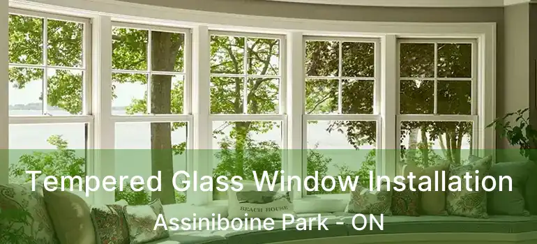  Tempered Glass Window Installation Assiniboine Park - ON