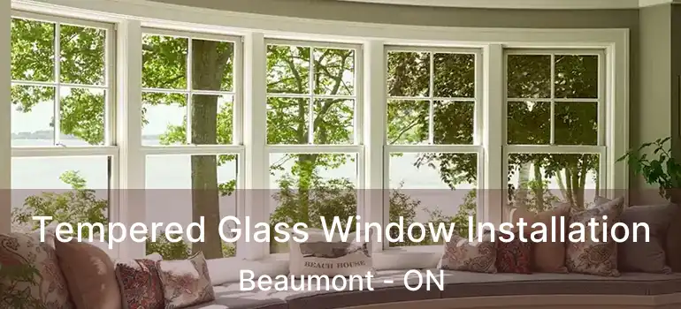  Tempered Glass Window Installation Beaumont - ON