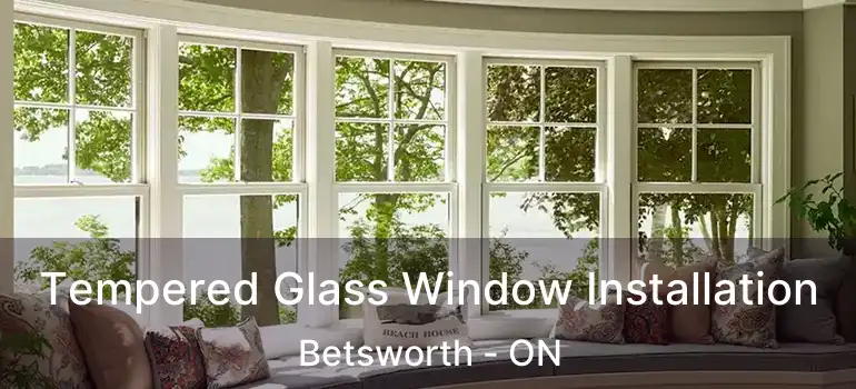  Tempered Glass Window Installation Betsworth - ON