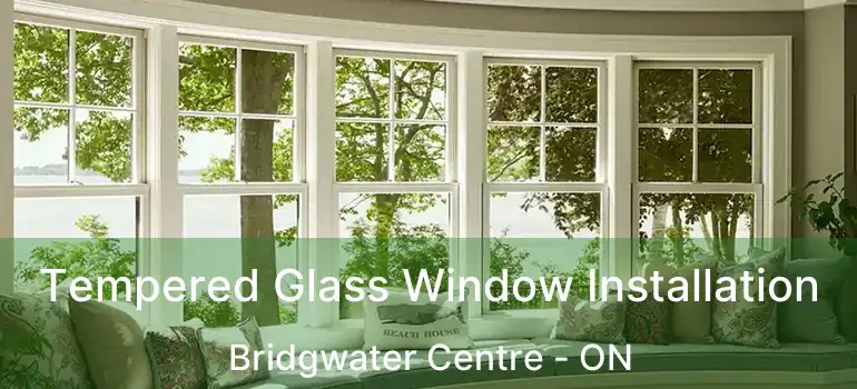  Tempered Glass Window Installation Bridgwater Centre - ON