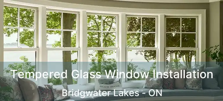  Tempered Glass Window Installation Bridgwater Lakes - ON
