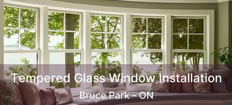  Tempered Glass Window Installation Bruce Park - ON