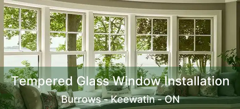  Tempered Glass Window Installation Burrows - Keewatin - ON