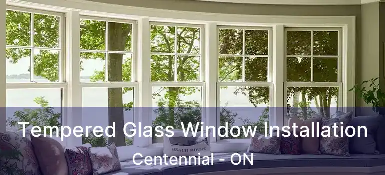  Tempered Glass Window Installation Centennial - ON