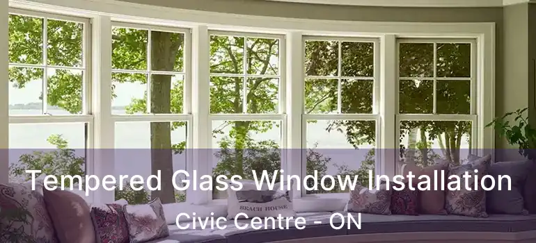  Tempered Glass Window Installation Civic Centre - ON