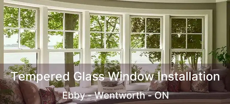 Tempered Glass Window Installation Ebby - Wentworth - ON