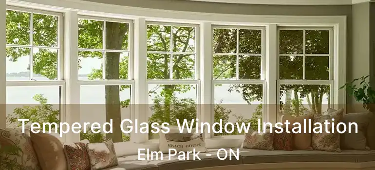  Tempered Glass Window Installation Elm Park - ON
