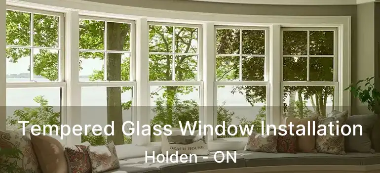  Tempered Glass Window Installation Holden - ON