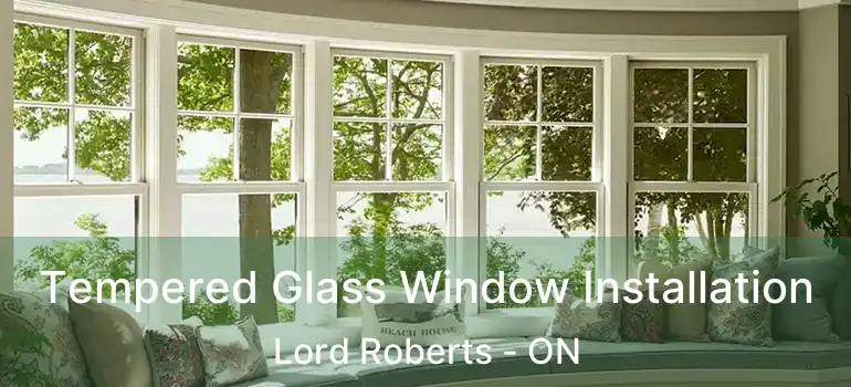  Tempered Glass Window Installation Lord Roberts - ON