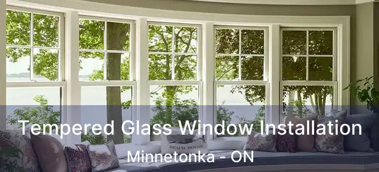  Tempered Glass Window Installation Minnetonka - ON