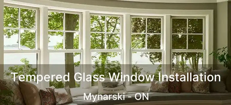  Tempered Glass Window Installation Mynarski - ON