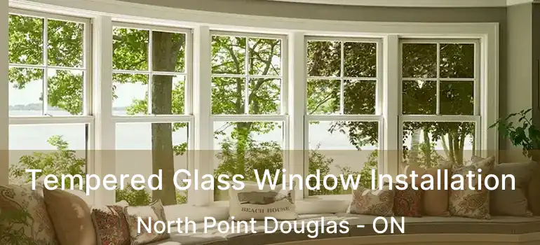 Tempered Glass Window Installation North Point Douglas - ON