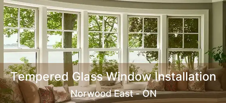  Tempered Glass Window Installation Norwood East - ON