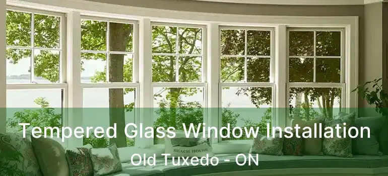  Tempered Glass Window Installation Old Tuxedo - ON