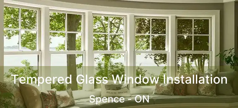  Tempered Glass Window Installation Spence - ON