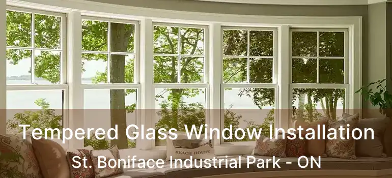  Tempered Glass Window Installation St. Boniface Industrial Park - ON