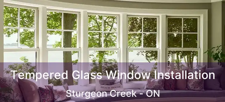 Tempered Glass Window Installation Sturgeon Creek - ON