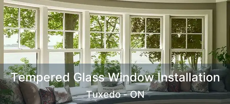  Tempered Glass Window Installation Tuxedo - ON