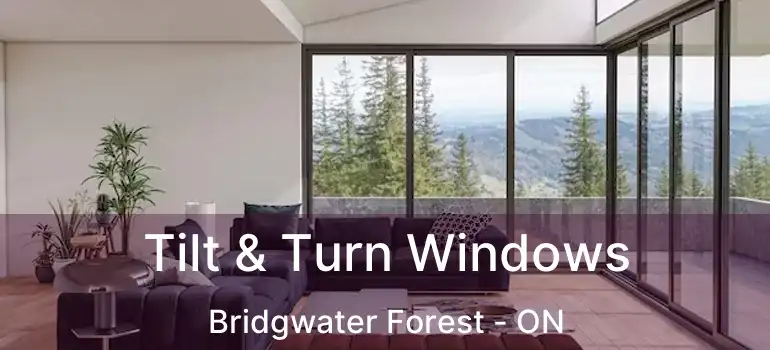  Tilt & Turn Windows Bridgwater Forest - ON