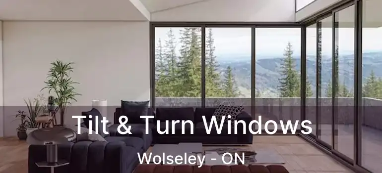  Tilt & Turn Windows Wolseley - ON