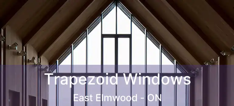  Trapezoid Windows East Elmwood - ON