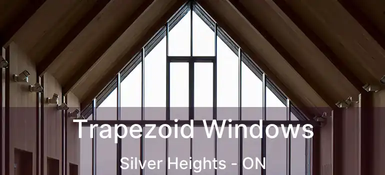  Trapezoid Windows Silver Heights - ON