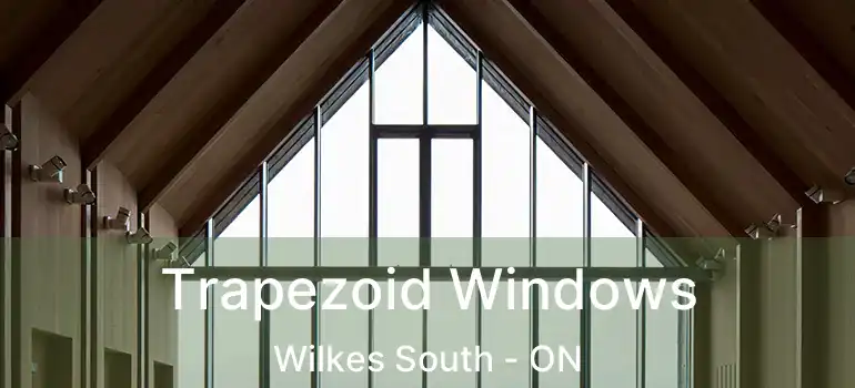  Trapezoid Windows Wilkes South - ON