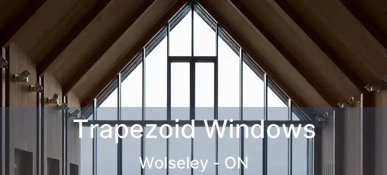  Trapezoid Windows Wolseley - ON