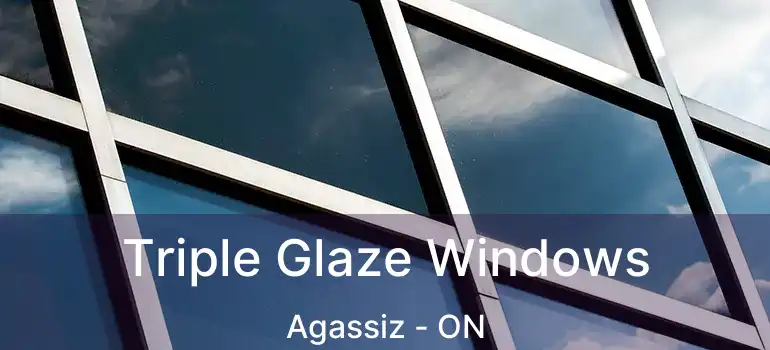  Triple Glaze Windows Agassiz - ON
