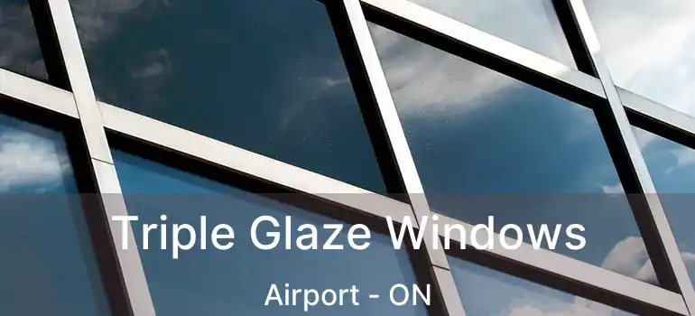  Triple Glaze Windows Airport - ON