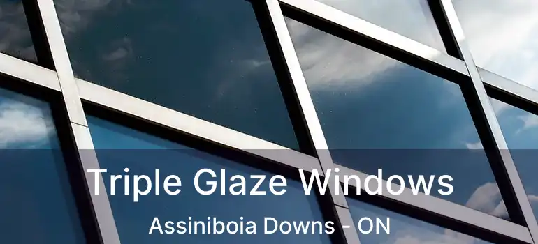  Triple Glaze Windows Assiniboia Downs - ON