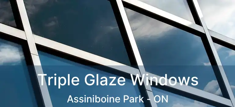  Triple Glaze Windows Assiniboine Park - ON