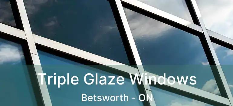  Triple Glaze Windows Betsworth - ON