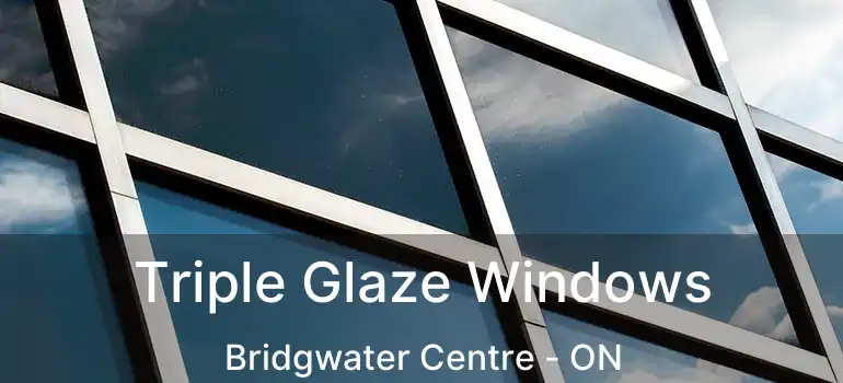  Triple Glaze Windows Bridgwater Centre - ON