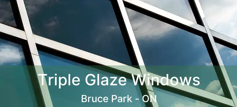  Triple Glaze Windows Bruce Park - ON