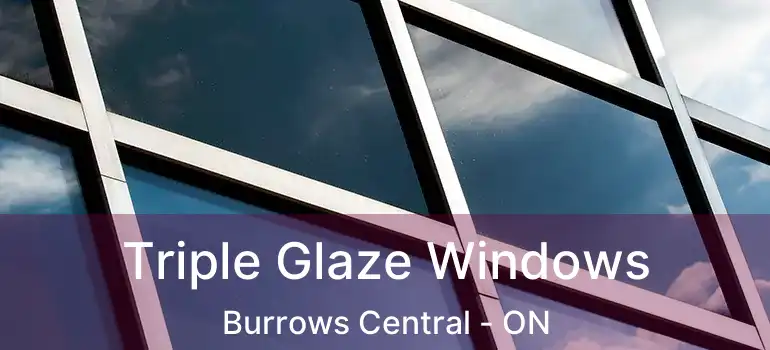  Triple Glaze Windows Burrows Central - ON